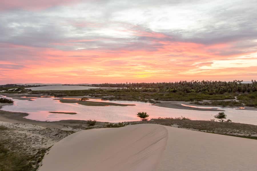 Jericoacoara: Tatajuba Beach Tour - Tatajuba Tour: Key Points at a Glance