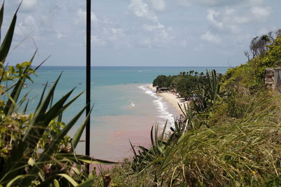 Joao Pessoa City Tour - Pickup, languages, and how to protect your day