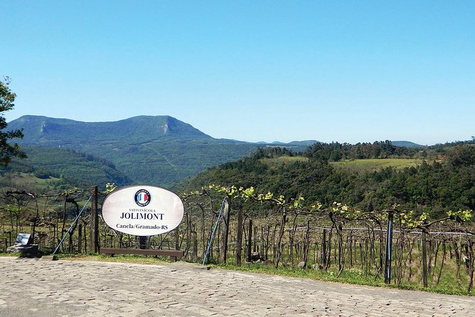Jolimont Winery Tour - Visitation and Tasting - Canela RS - Is $23.45 a good value?