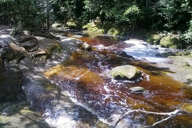 Jungle Walk with Caves and Waterfalls, Amazon Private Day Tour - Why these caves and waterfalls make a good day from Manaus