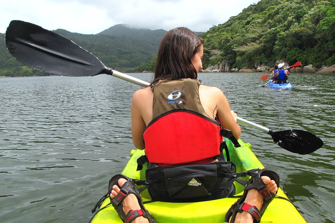 Kayak Water Trail in Red River Park by Adrenailha - Key points to know before you book