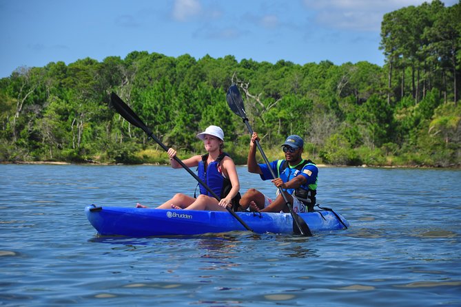 Kayak Water Trail in Red River Park by Adrenailha - Why this paddle shows you a different Florianopolis