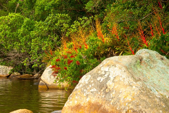 Kayak Water Trail in Red River Park by Adrenailha - What the $68.61 price covers