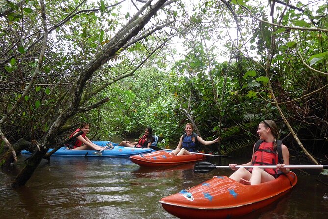 Kayaking Mangroves tour ( Natural Reserve ) - Weather, timing, and comfort on the water