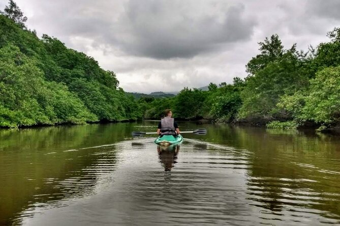 Kayaking to the mangroves - Key points for your Paraty kayaking trip
