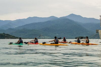 Kayaking to the mangroves