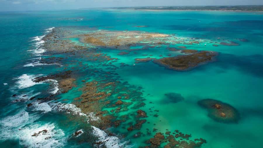 Maceio: Tour to Maragogi Beach - Maragogi Beach and the calm coastal water
