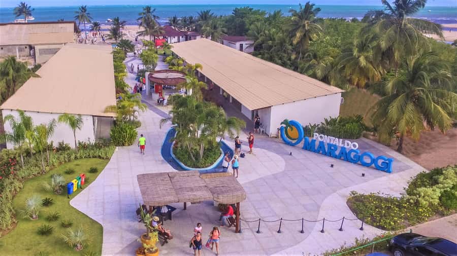 Maceio: Tour to Maragogi Beach - Practical ways to make the day better