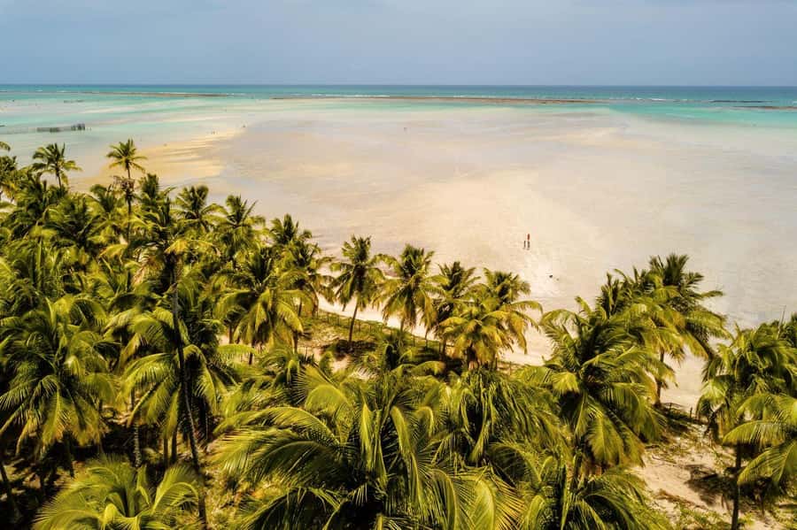 Maceio: Tour to Maragogi Beach - Your first base: the restaurant by the beach