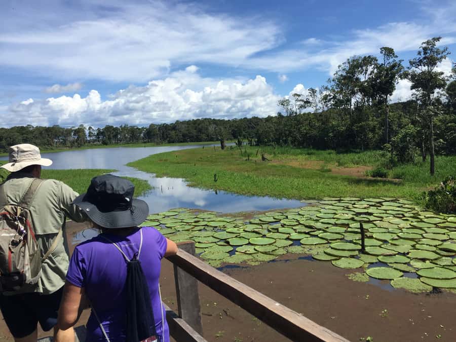 Manaus: 2-Day River Tour With Overnight Stay - Simple food and a paddle on the river