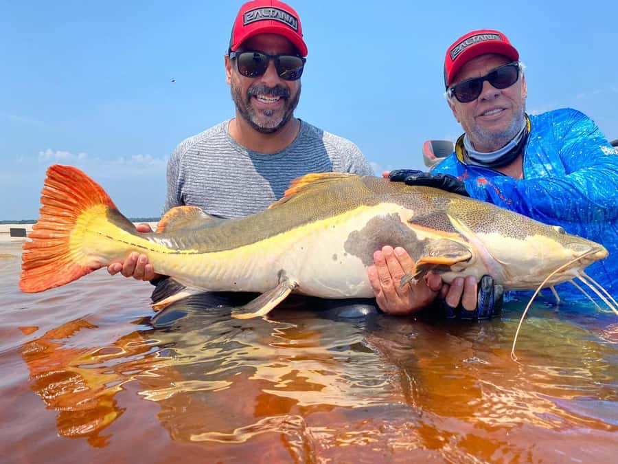 Manaus : A day of fishing on the Rio Negro - Leaving Manaus at 7:30 a.m.