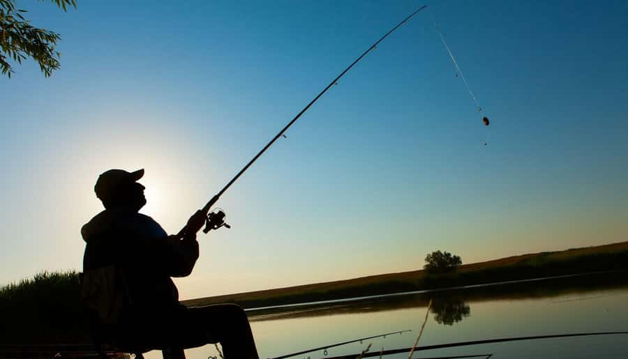 Manaus : A day of fishing on the Rio Negro - The guides can shape the whole day