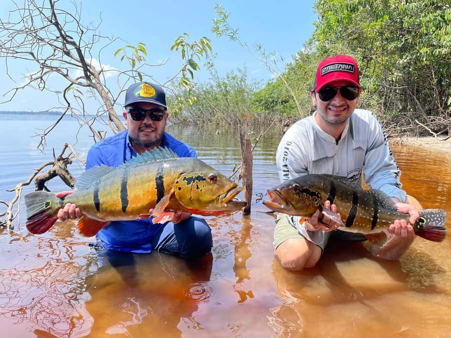 Manaus : A day of fishing on the Rio Negro - Who will enjoy this Rio Negro outing?