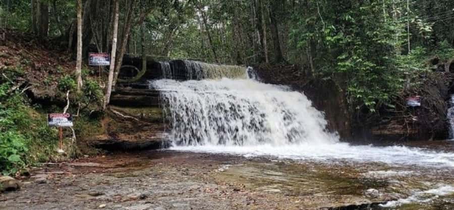 Manaus: Amazon Waterfalls Day Trip with Lunch - Lunch at Urubuí Park