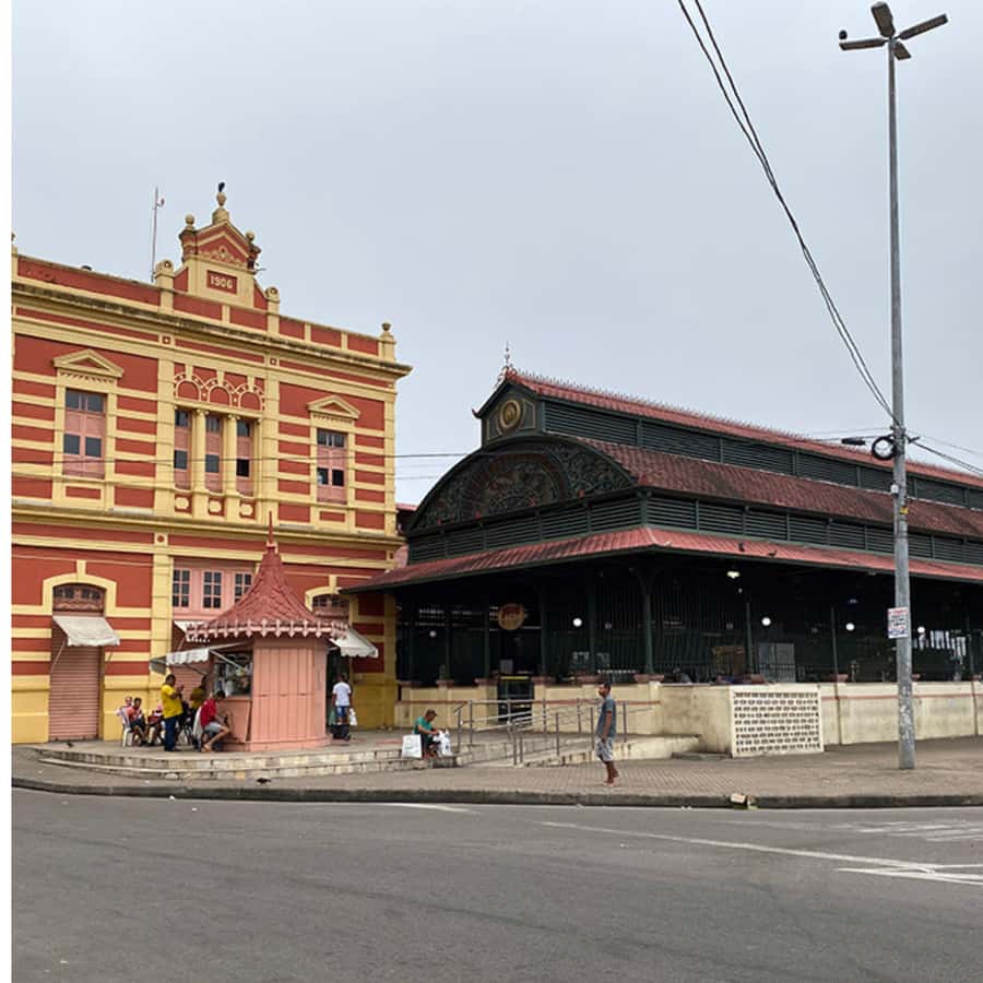 Manaus: City Tour - Ending at Teatro Amazonas