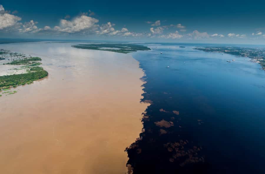 Manaus: Full-Day Tour on the Amazon River - Why this Manaus day trip works