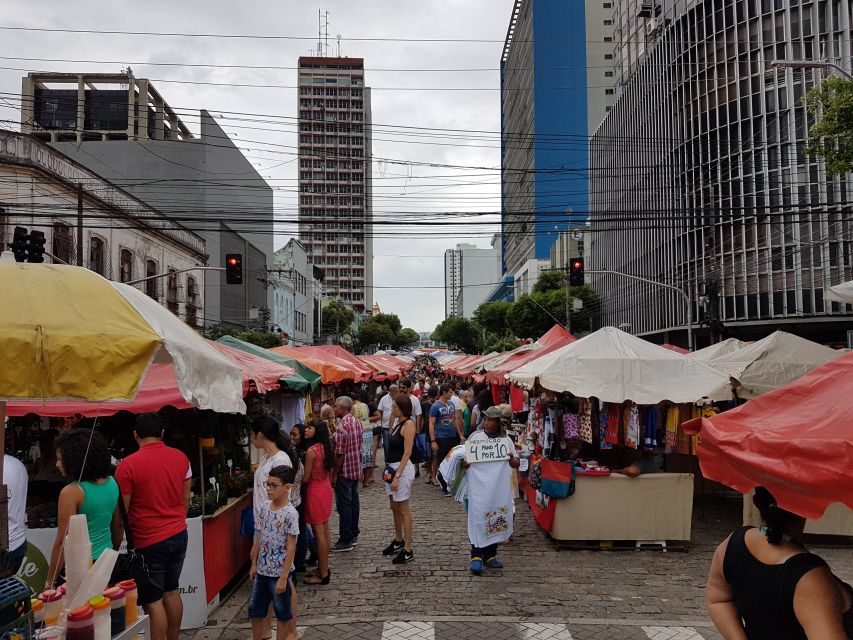 Manaus: Half-Day City Tour - The guides and what they add