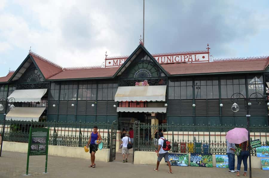 Manaus: Half-Day City Tour - Who should book this Manaus tour?
