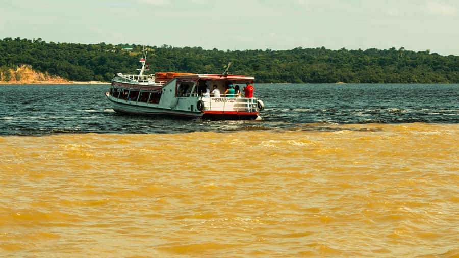 Manaus: Meeting of the Waters & Pink Dolphin Tour with Lunch - Who will enjoy this six-hour outing?