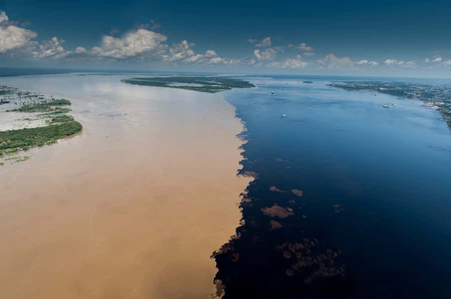 Manaus: Meeting of the Waters & Pink Dolphin Tour with Lunch - Watching the Black River meet the Solimões
