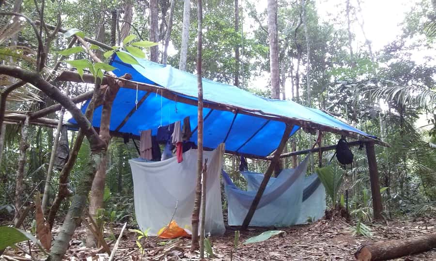 Manaus: Multi-Day Amazon Survival Trip with Camping - A 5:30 am canoe ride for sunrise