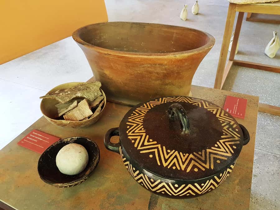 Manaus: MUSA and INPA Museums with Observation Tower Tour - A close look at the advertised itinerary