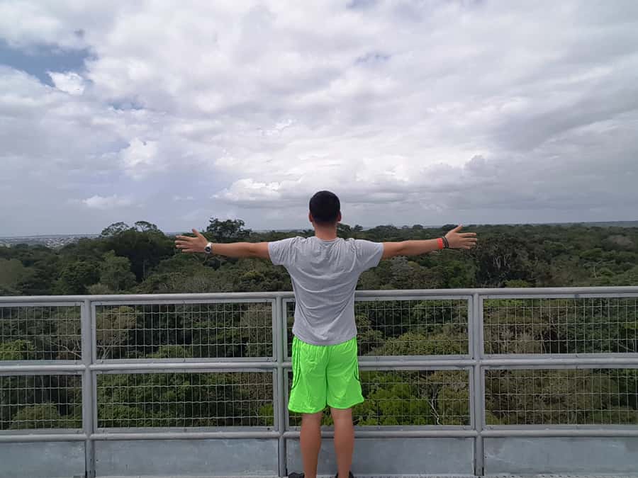 Manaus: MUSA and INPA Museums with Observation Tower Tour - Is $50 a fair price?