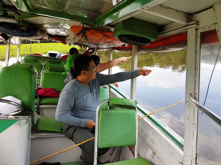 Manaus: Piranha Fishing and Alligator Watch Evening Tour - Fishing with a bamboo rod near Iranduba