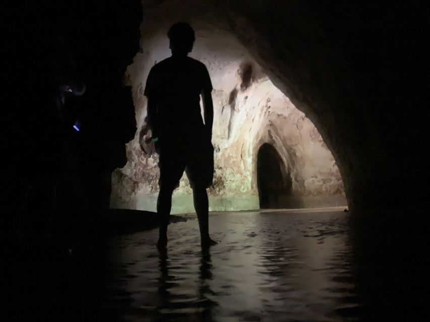 Manaus: Presidente Figueiredo Caves and Waterfalls Tour - Who should book this Amazon outing