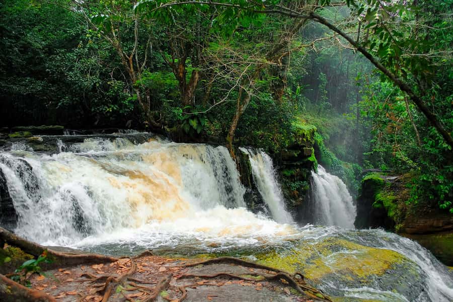 Manaus: Presidente Figueiredo Caves and Waterfalls Tour - Walking through the movie-set grottos