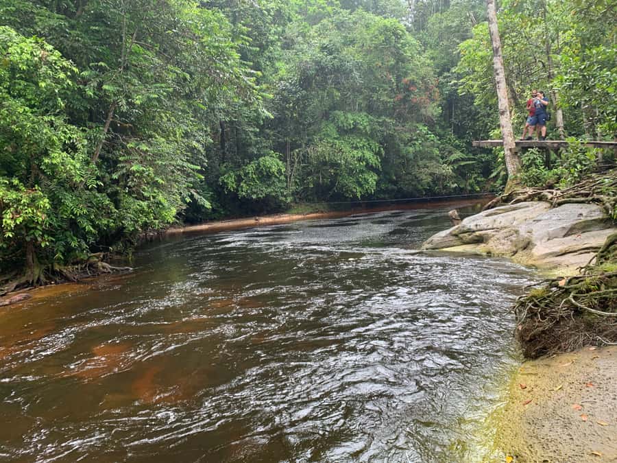 Manaus: Presidente Figueiredo Caves and Waterfalls Tour - Swimming at the waterfall