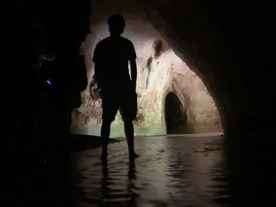 Manaus: Presidente Figueiredo Caves and Waterfalls Tour - What the $367 group price really covers