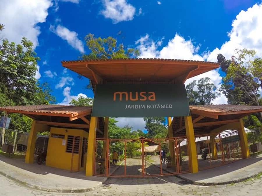 Manaus : Visit to MUSA (Amazon Museum) - The Adolpho Ducke Forest Reserve is the real attraction