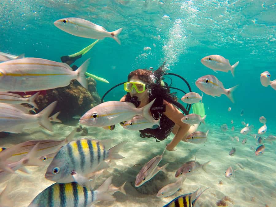 Maracajau Parrachos Reef: Mask and Snorkel swim adventure - Key points at a glance
