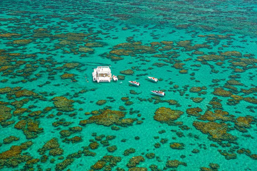 Maracajau Parrachos Reef: Mask and Snorkel swim adventure - Ninety minutes above the reef