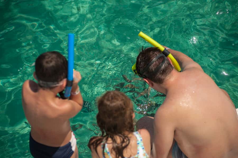 Maracajau Parrachos Reef: Mask and Snorkel swim adventure - Who will enjoy this most