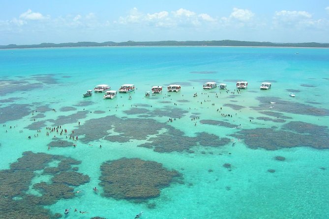 Maragogi / Alagoas Caribbean Brazilian - The catamaran ride to the natural pools