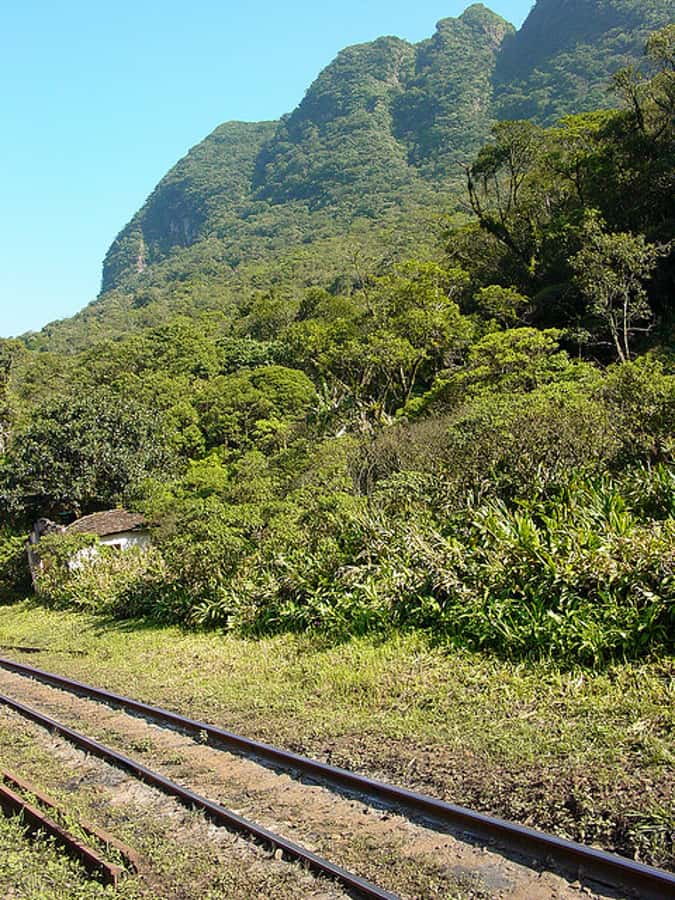 Morretes: Full Day Colonial Town Tour from Curitiba - Hisgeopar and the route’s change of pace