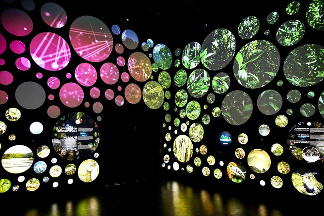 Museum of Tomorrow Guided Tour, Admission & Transfer - Inside the Museum: Science With a Human Question