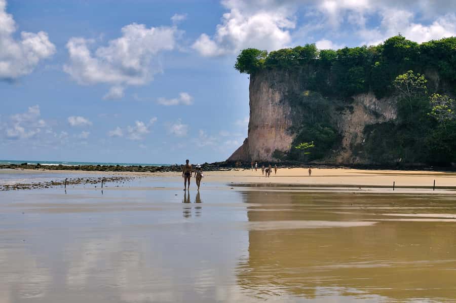 Natal: South Coast Day Tour by 4X4 with Pickup - Taking in Arituba Lagoon