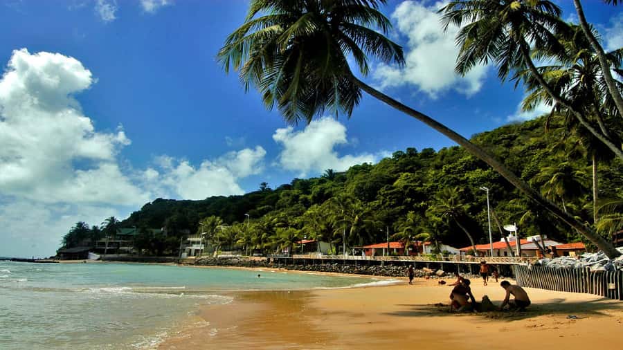 Natal: South Coast Day Tour by 4X4 with Pickup - Starting at Barreira do Inferno
