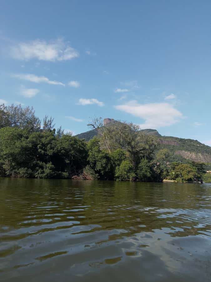 Pantanal of Rio de Janeiro - Key points to know before you go