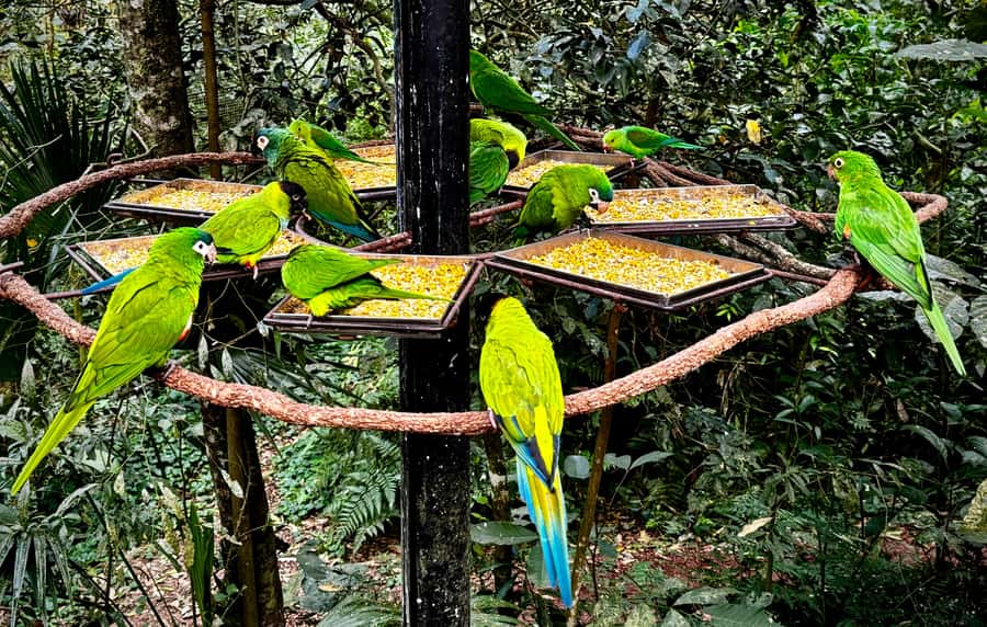 Paraguay + Argentina + Brazil Top Highlights - What to bring for three countries and wet parks
