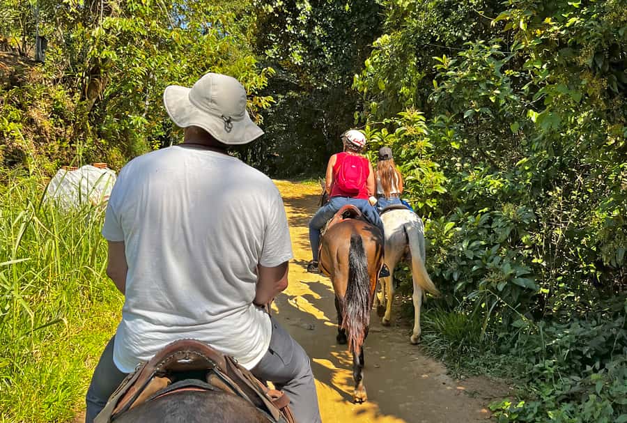 Paraty: 3-Hour Rainforest Horseback Ride - Key points to know before booking