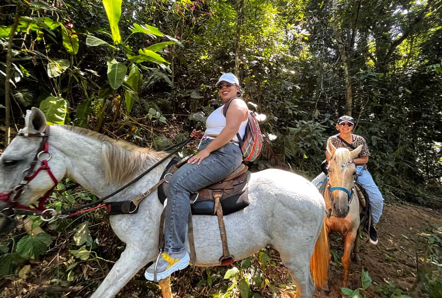 Paraty: 3-Hour Rainforest Horseback Ride - Simple preparation makes the ride better