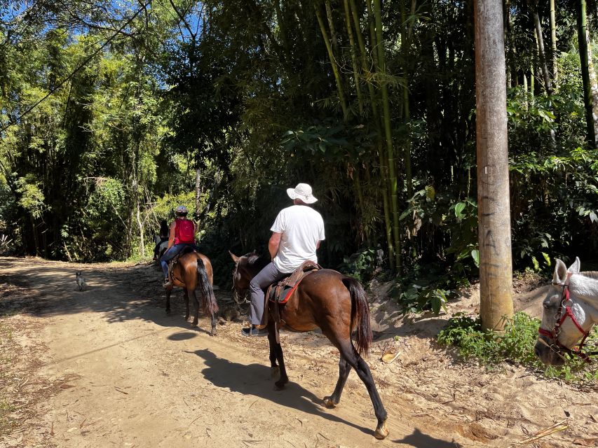 Paraty: 3-Hour Rainforest Horseback Ride - Waterfalls, swimming, and a welcome break