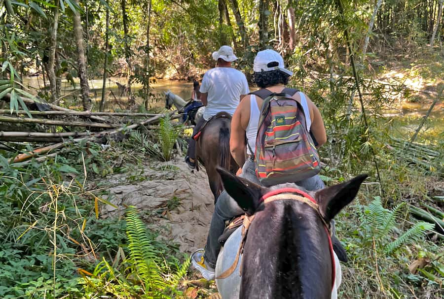 Paraty: 3-Hour Rainforest Horseback Ride - Lookouts over Paraty Bay