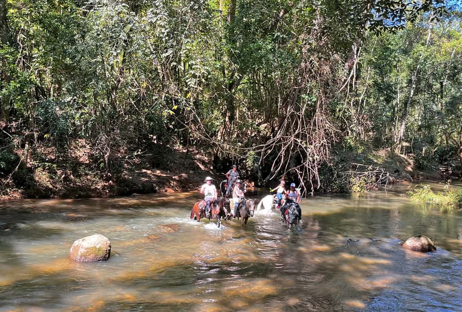 Paraty: 3-Hour Rainforest Horseback Ride - What the three-hour pace feels like