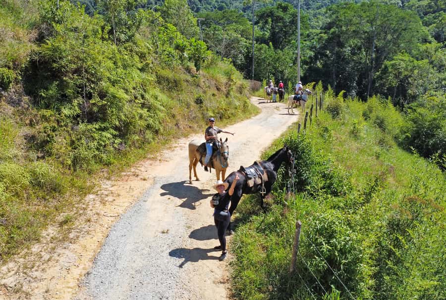Paraty: 3-Hour Rainforest Horseback Ride - Is the $120 price fair?