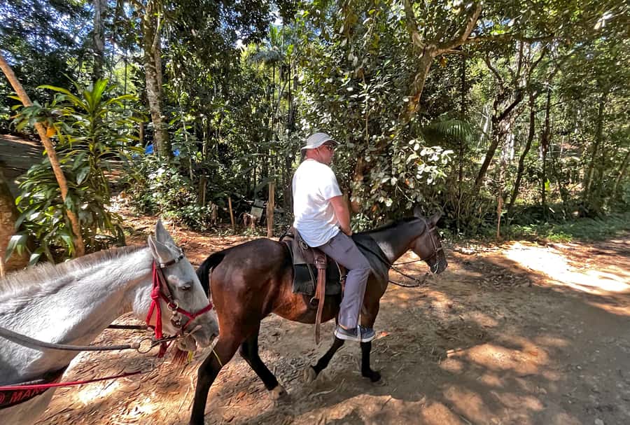 Paraty: 3-Hour Rainforest Horseback Ride - Who will enjoy this ride most?